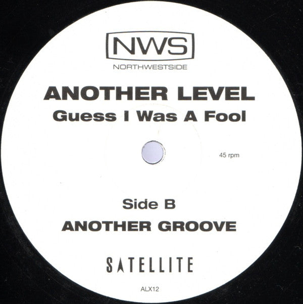 Another Level : Guess I Was A Fool (12", M/Print)