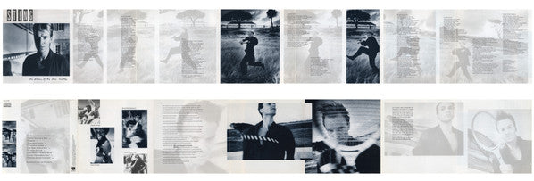 Sting : The Dream Of The Blue Turtles (CD, Album)