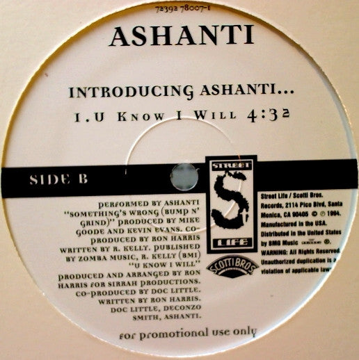 Ashanti (5) : Something's Wrong (Bump N' Grind) (12", Promo)