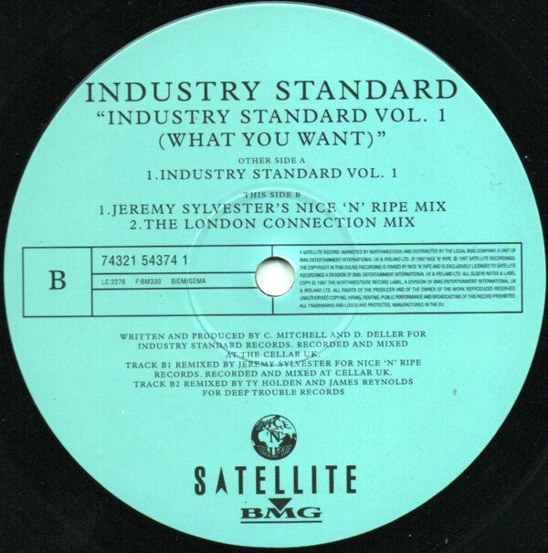 Industry Standard (2) : Industry Standard Vol. 1 (What You Want) (12")