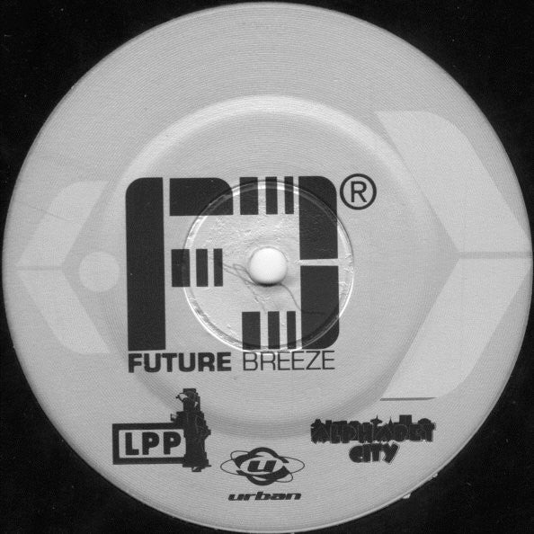 Future Breeze : How Much Can You Take (12", Promo)
