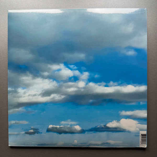30 Seconds To Mars : It's The End Of The World But It's A Beautiful Day (LP, Album, Ltd, Ora)
