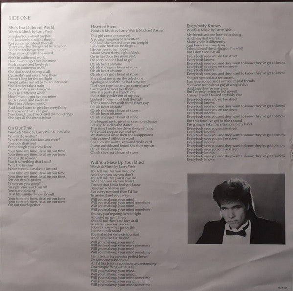 Michael Damian : Love Is A Mystery (LP, Album)