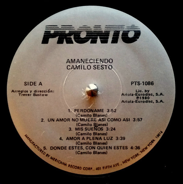 Camilo Sesto : Amaneciendo (LP, Album)