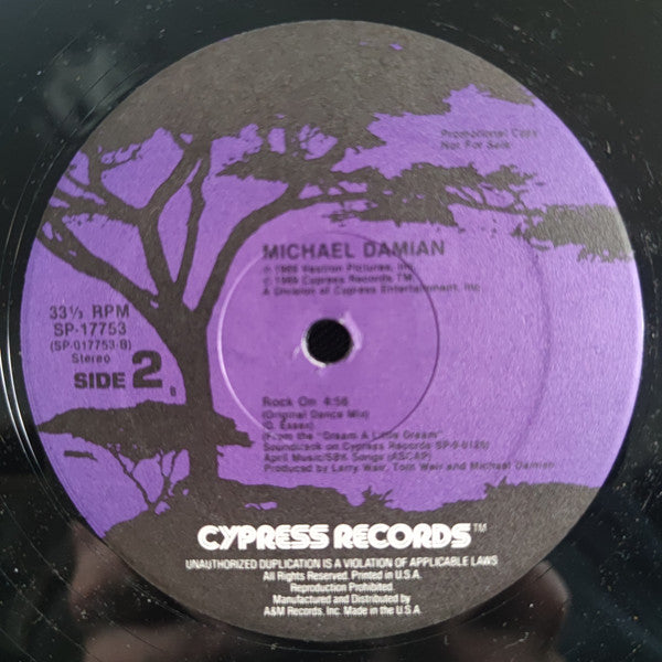 Michael Damian : Rock On (Dance Re-mix) (12", Promo)
