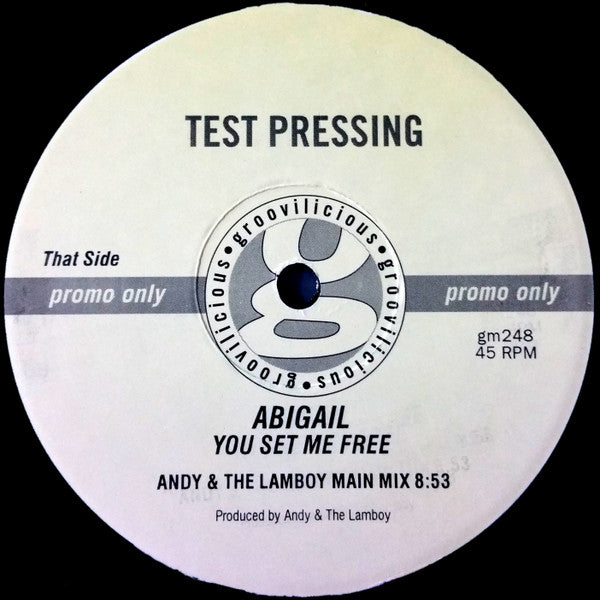 Abigail : You Set Me Free (12", Promo, TP)