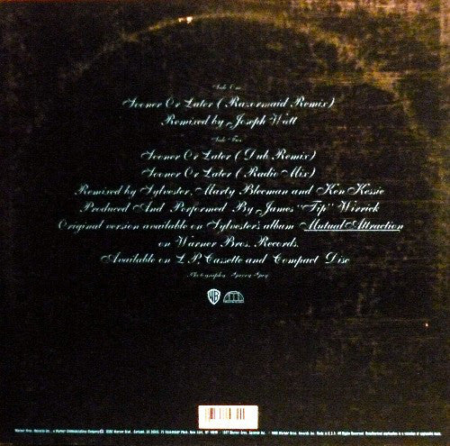 Sylvester : Sooner Or Later (12", Maxi)