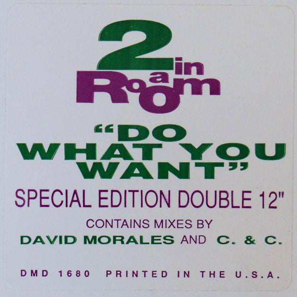 2 In A Room : Do What You Want (2x12", Promo, S/Edition)