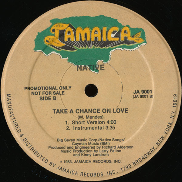 Native (9) : Take A Chance On Love (12", Promo)