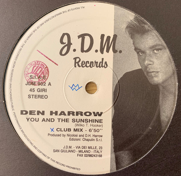 Den Harrow : You And The Sunshine (12")