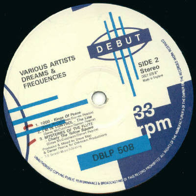 Various : Dreams & Frequencies (12", Comp)