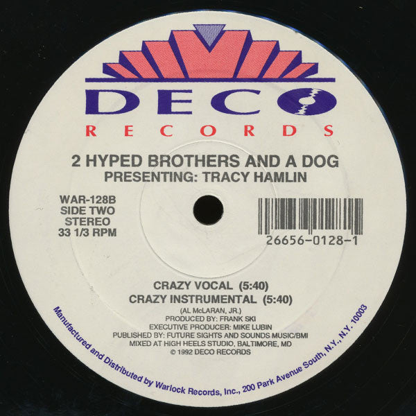 2 Hyped Brothers & A Dog Presenting Tracy Hamlin : Swing (To The Music) (12")