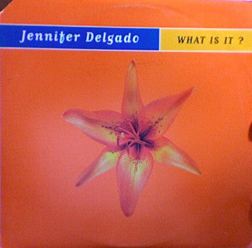 Jennifer Delgado : What Is It (About You)? (12")