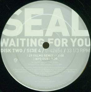 Seal : Waiting For You (2x12")