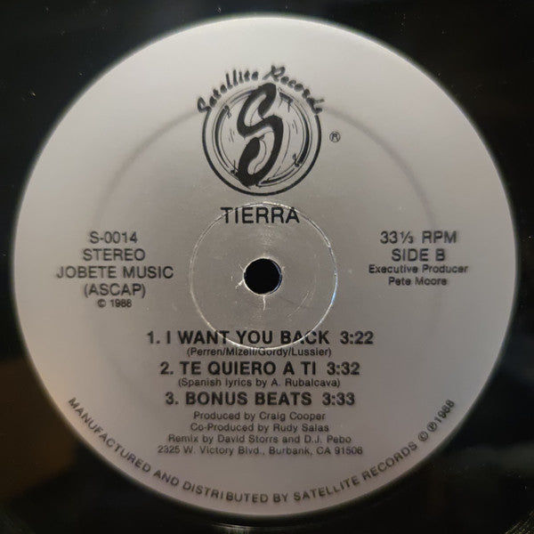 Tierra : I Want You Back (12")