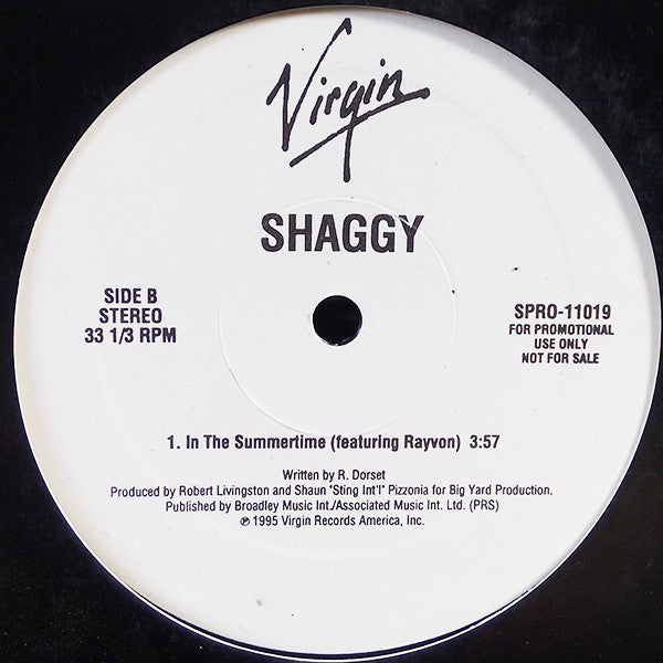 Shaggy : In The Summertime (12", Promo)