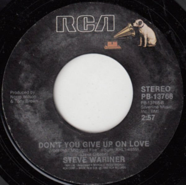 Steve Wariner : Why Goodbye (7", Single)