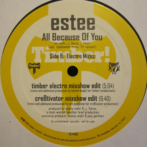 Estee : All Because Of You (12", Promo)