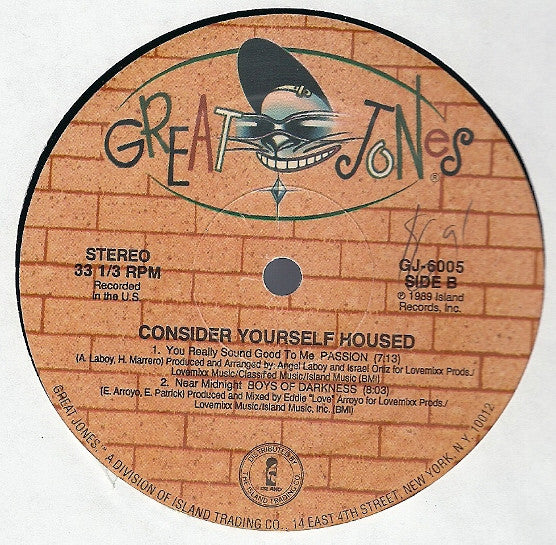 Various : Consider Yourself Housed (LP)