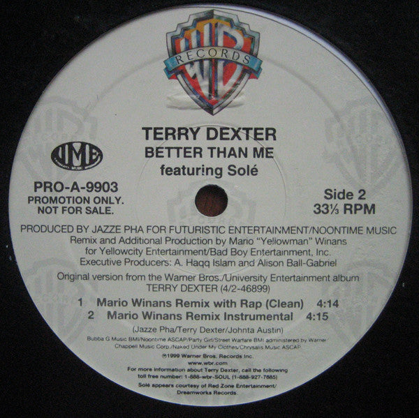 Terry Dexter Featuring Solé : Better Than Me (12", Promo)