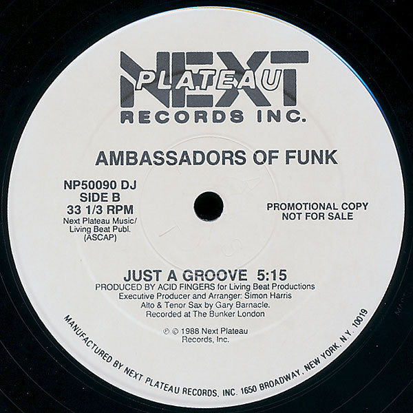 Ambassadors Of Funk : My Minds Made Up (12", Promo)