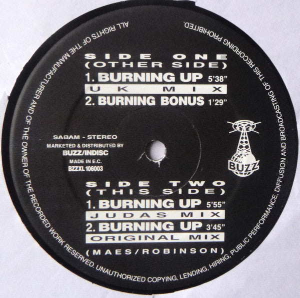 Gale Robinson : Burning Up (12")
