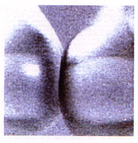 Tori Amos : Little Earthquakes (CD, Album, Club, SRC)