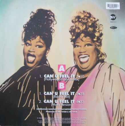 The Weather Girls : Can U Feel It (12")