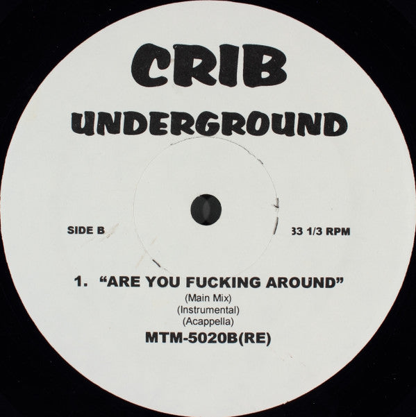 Jay-Z / Ruff Endz : I Just Wanna Love You (Give It 2 Me) / Are You Fucking Around (12", Comp, Unofficial)
