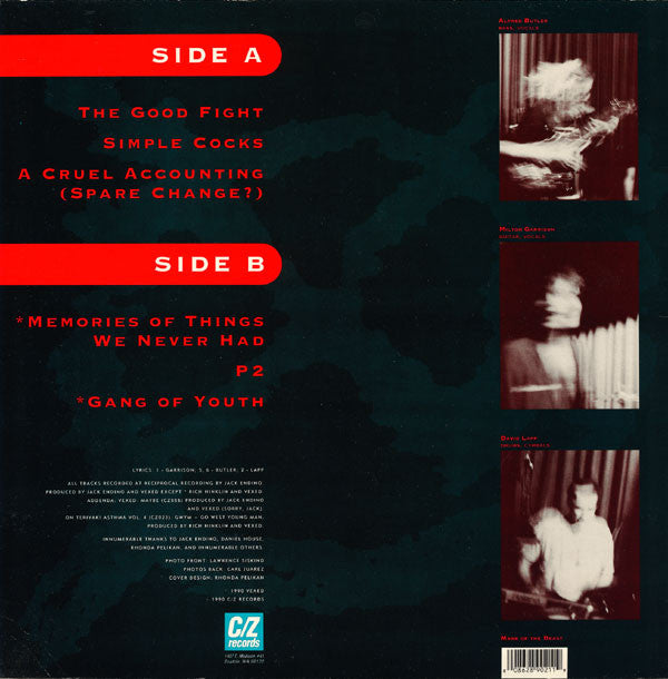 Vexed : The Good Fight (LP)