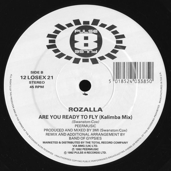 Rozalla : Are You Ready To Fly (Remix) (12")