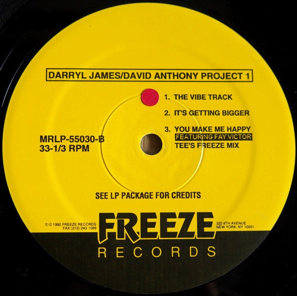 Darryl James & David Anthony : Project 1 (LP)