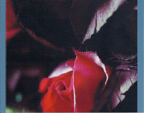 Badly Drawn Boy : The Hour Of Bewilderbeast (CD, Album, RE)