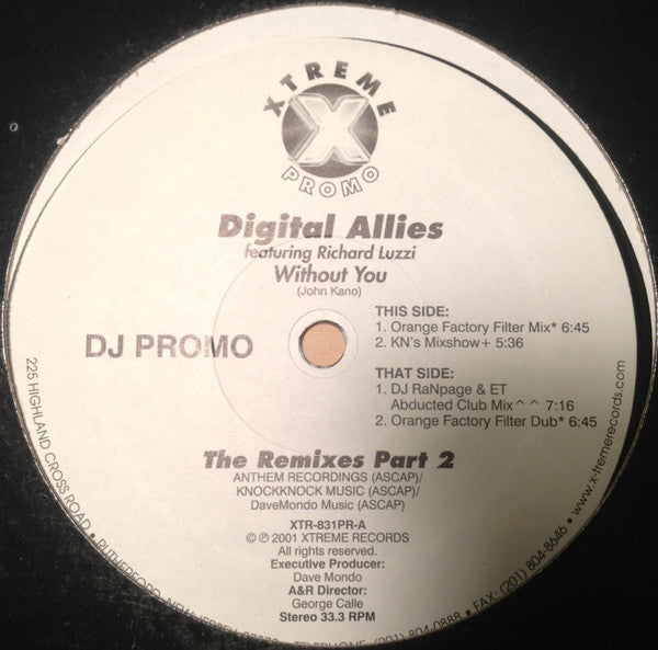 Digital Allies Featuring Richard Luzzi : Without You (12", Single, Promo)