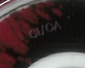 Depeche Mode : Playing The Angel (CD, Album)