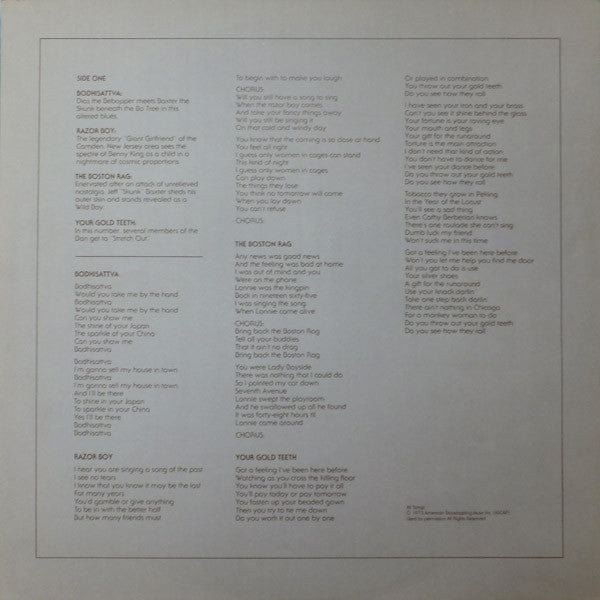 Steely Dan : Countdown To Ecstasy (LP, Album, Pit)