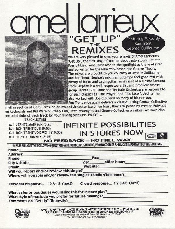 Amel Larrieux : Get Up (2x12", Promo)