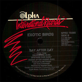 Exotic Birds : Day After Day (12", Maxi, Promo)