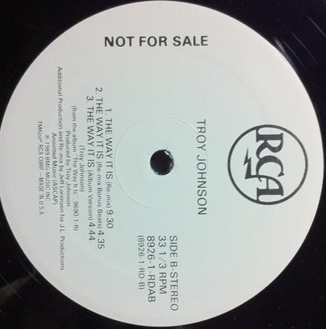 Troy Johnson : The Way It Is (12", Promo)