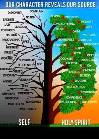 One Another = Better Fruit