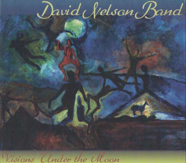 David Nelson Band* : Visions Under The Moon (CD, Album)
