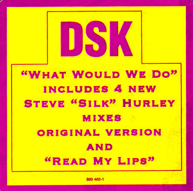 DSK : What Would We Do (12")
