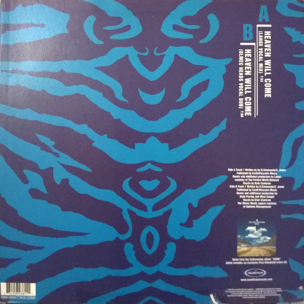 The Space Brothers : Heaven Will Come (12")