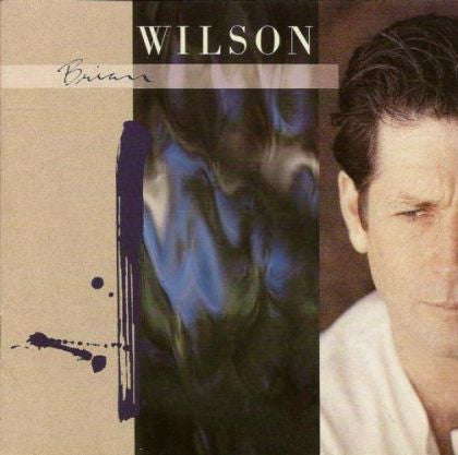 Brian Wilson : Brian Wilson (CD, Album)