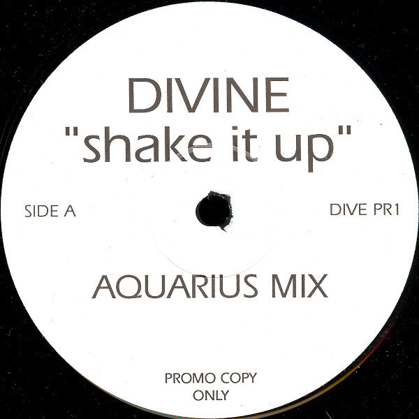 Divine : Shake It Up (Aquarius Mixes) (12", Promo)
