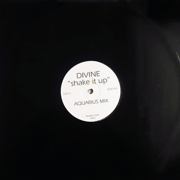 Divine : Shake It Up (Aquarius Mixes) (12", Promo)