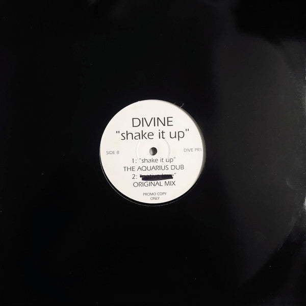 Divine : Shake It Up (Aquarius Mixes) (12", Promo)