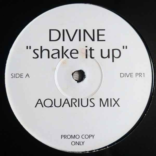 Divine : Shake It Up (Aquarius Mixes) (12", Promo)