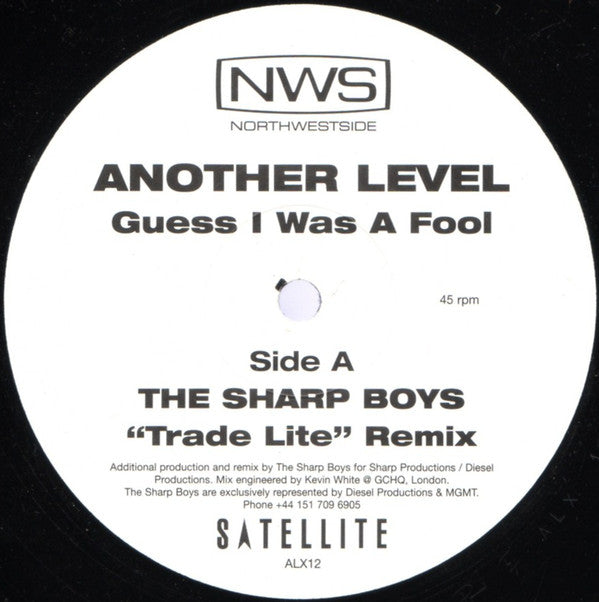Another Level : Guess I Was A Fool (12", M/Print)
