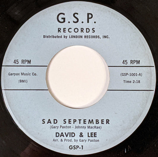 David & Lee : Sad September (7")